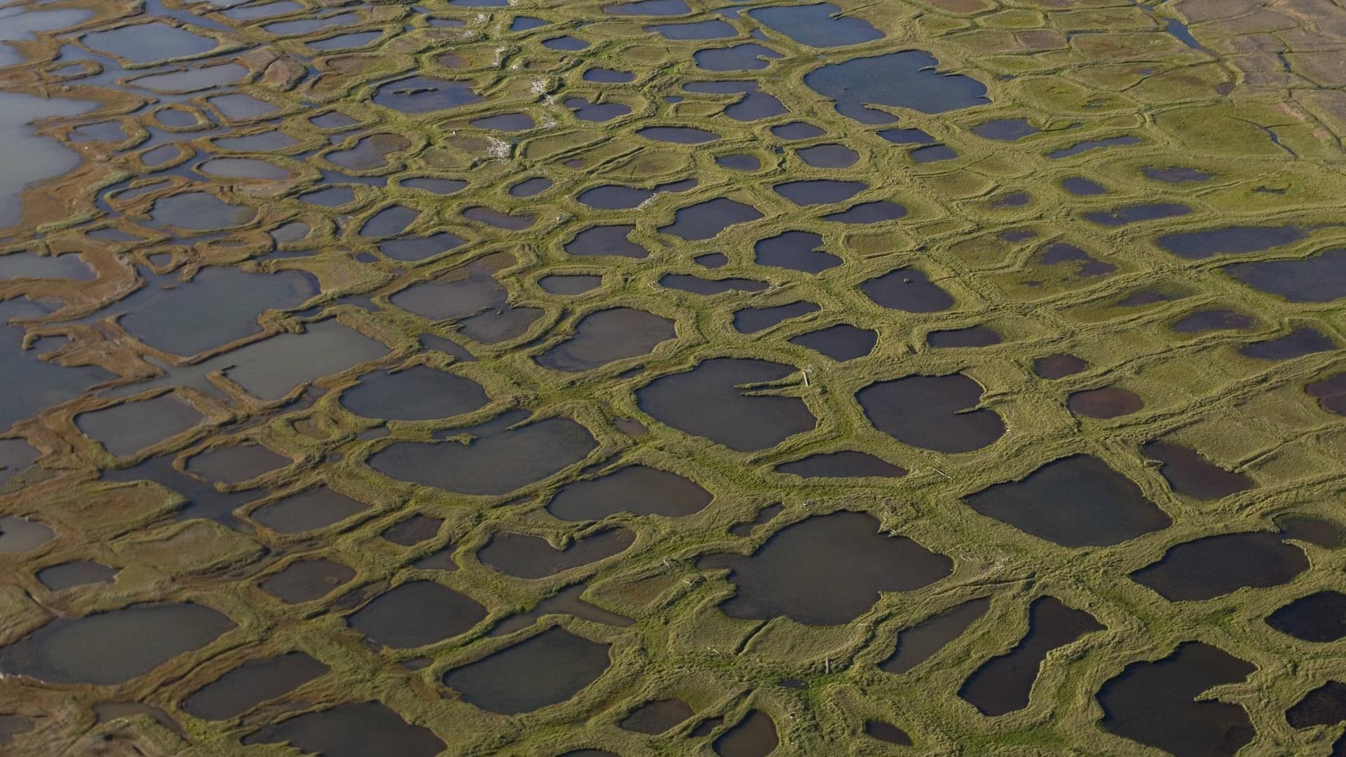 Folge des Tauens im Permafrostboden: Thermokarst-Seen in der Tundra.