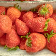 Vom Feld auf den Tisch: Frisch gepflückt schmecken Erdbeeren am besten.