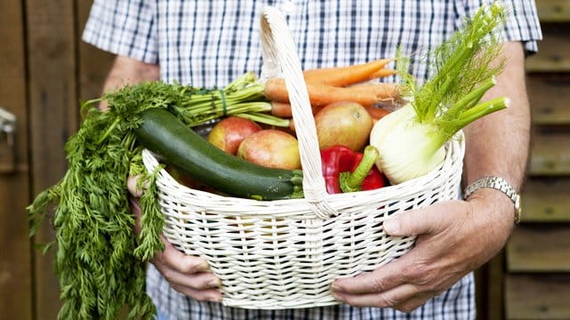 Osteoporose: Neben Bewegung und ausreichend Sonne beugt auch eine gesunde Ernährung der Krankheit vor.