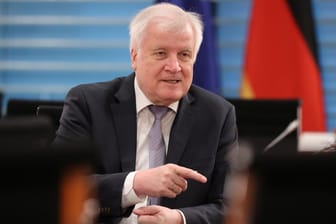 Innenminister Horst Seehofer hat angekündigt, dass EU-Bürger bald wieder ohne Kontrollen nach Deutschland einreisen können.