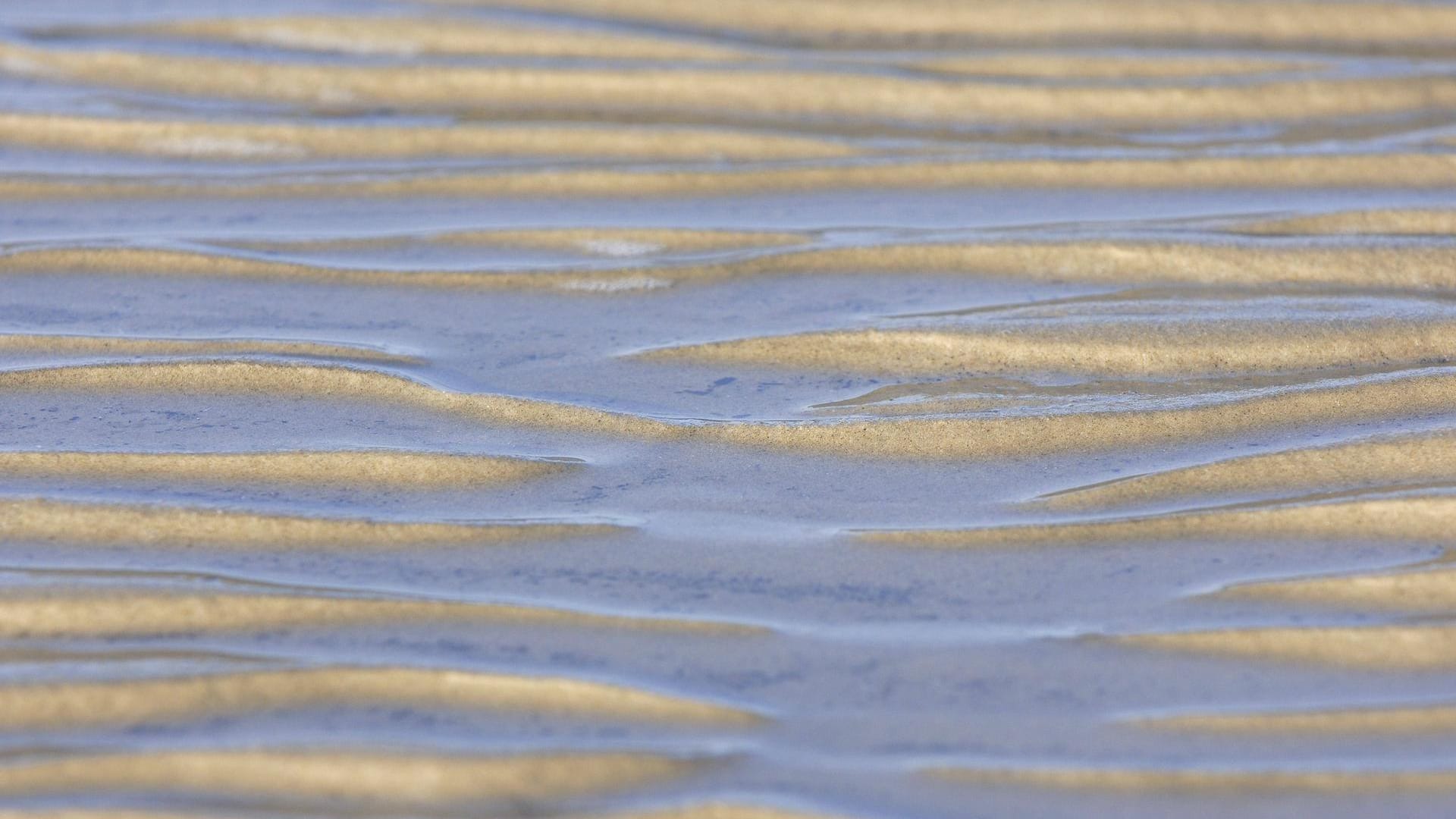 Ebbe am Wattenmeer: Mit einer Seilwinde zogen die Retter die Männer aus dem Schlick. (Symbolbild)