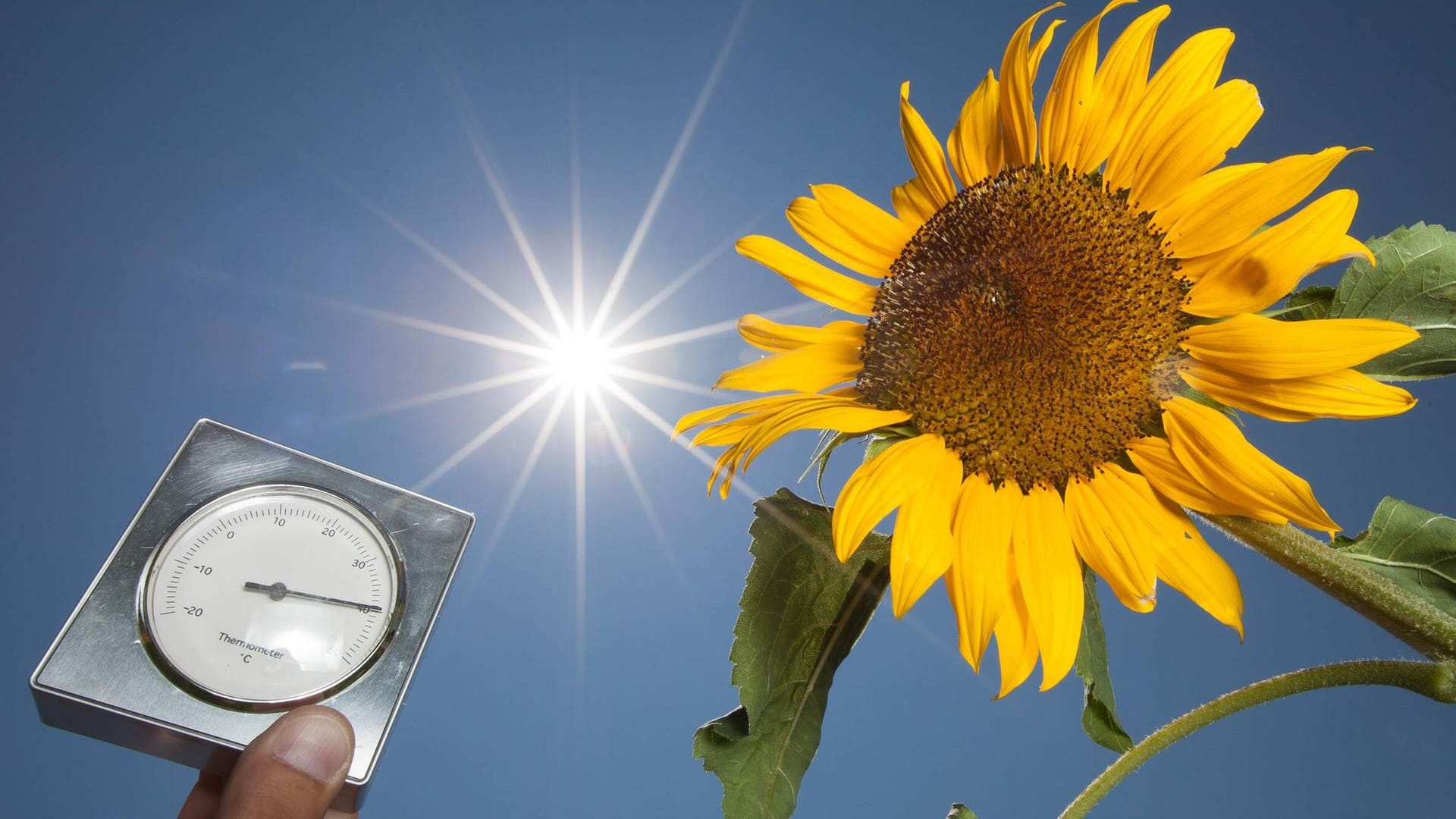 Hitzesommer: In den Jahren 2018 und 2019 gab es neben massiver Trockenheit auch reichlich Sonnenschein.