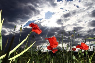 Wetterprognose: Wie der Juli und August wird, zeigt oftmals die Wetterlage um den 27. Juni an.