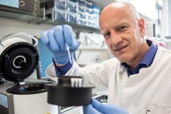 Laut Ulf Dittmer, Leiter des Instituts für Virologie der Universitätsklinik, könnte sich die Anzahl der Abwehrzellen bei Covid-19-Patienten auf den Verlauf der Erkrankung auswirken.
