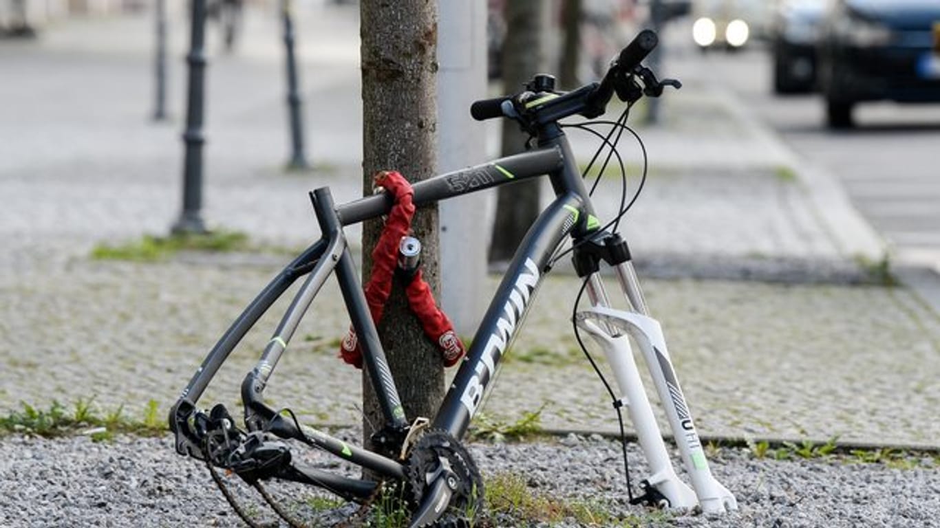 Reifen und Sattel sind weg, nur noch der Rahmen eines Fahrrads ist - hier in Berlin - an einen Baum gekettet.