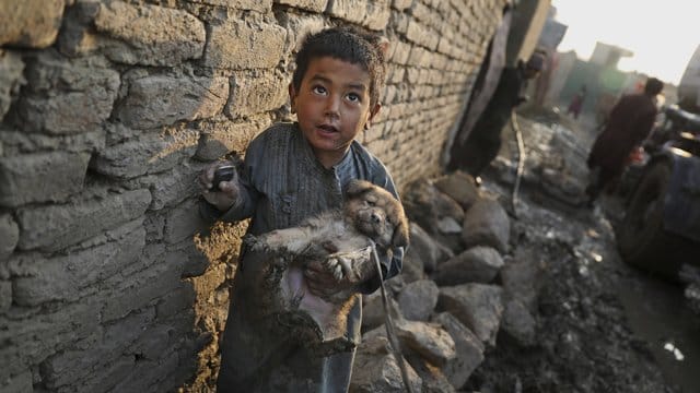 Ein kleiner Junge mit einem Welpen in einem Lager für Binnenvertriebene in Kabul. Ein kleiner Junge mit einem Welpen in einem Lager für Binnenvertriebene in Kabul.