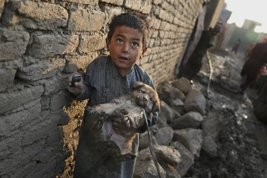 Ein kleiner Junge mit einem Welpen in einem Lager für Binnenvertriebene in Kabul.
