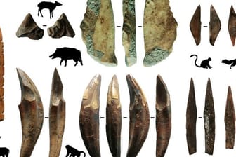 Werkzeuge aus Knochen und Zähnen sind Teil archäologischer Funde, die auf Sri Lanka gemacht wurden.