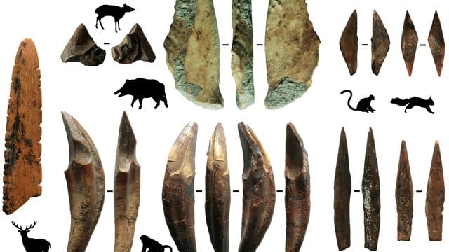 Werkzeuge aus Knochen und Zähnen sind Teil archäologischer Funde, die auf Sri Lanka gemacht wurden. Werkzeuge aus Knochen und Zähnen sind Teil archäologischer Funde, die auf Sri Lanka gemacht wurden.