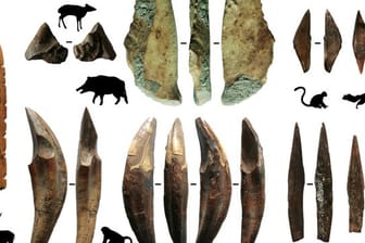 Werkzeuge aus Knochen und Zähnen sind Teil archäologischer Funde, die auf Sri Lanka gemacht wurden.