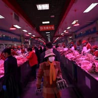 Der Xinfadi-Großmarkt in Peking: Hier haben sich Dutzende Menschen mit dem Coronavirus infiziert.