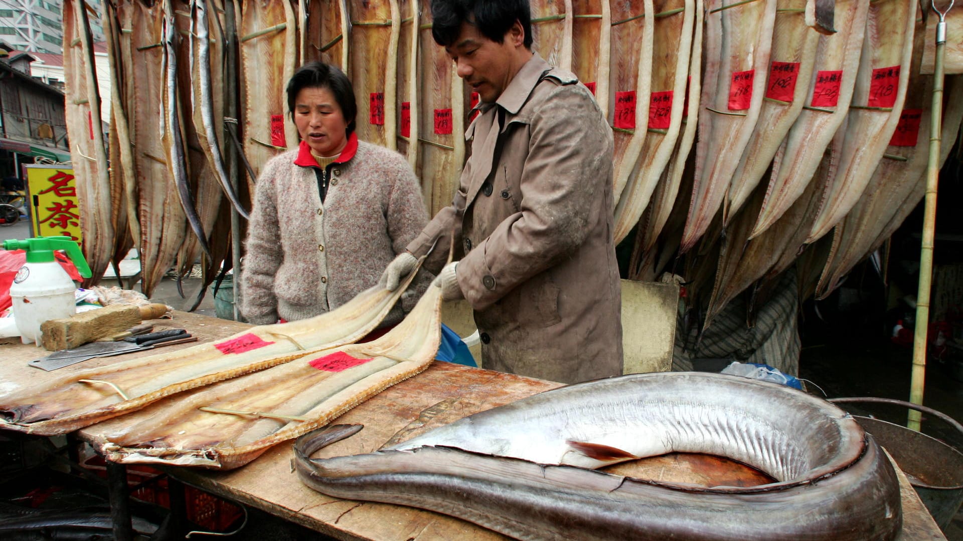 Fischmarkt in Shanghai