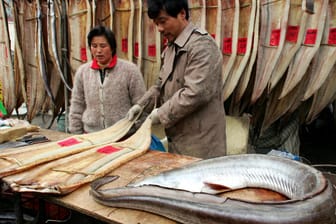 Fischmarkt in Shanghai