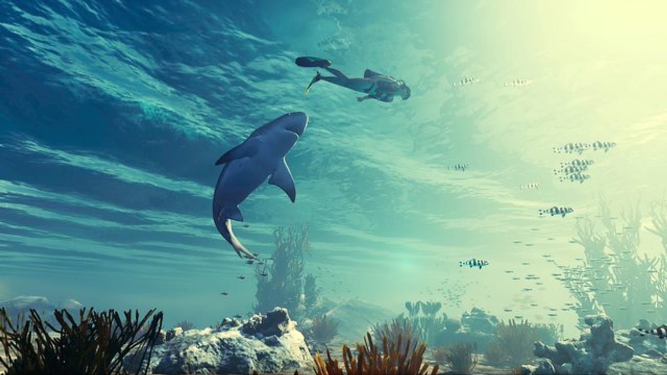 Auf der Jagd: In "Maneater" schlüpft der Spieler in die Rolle eines menschenfressenden Hais.