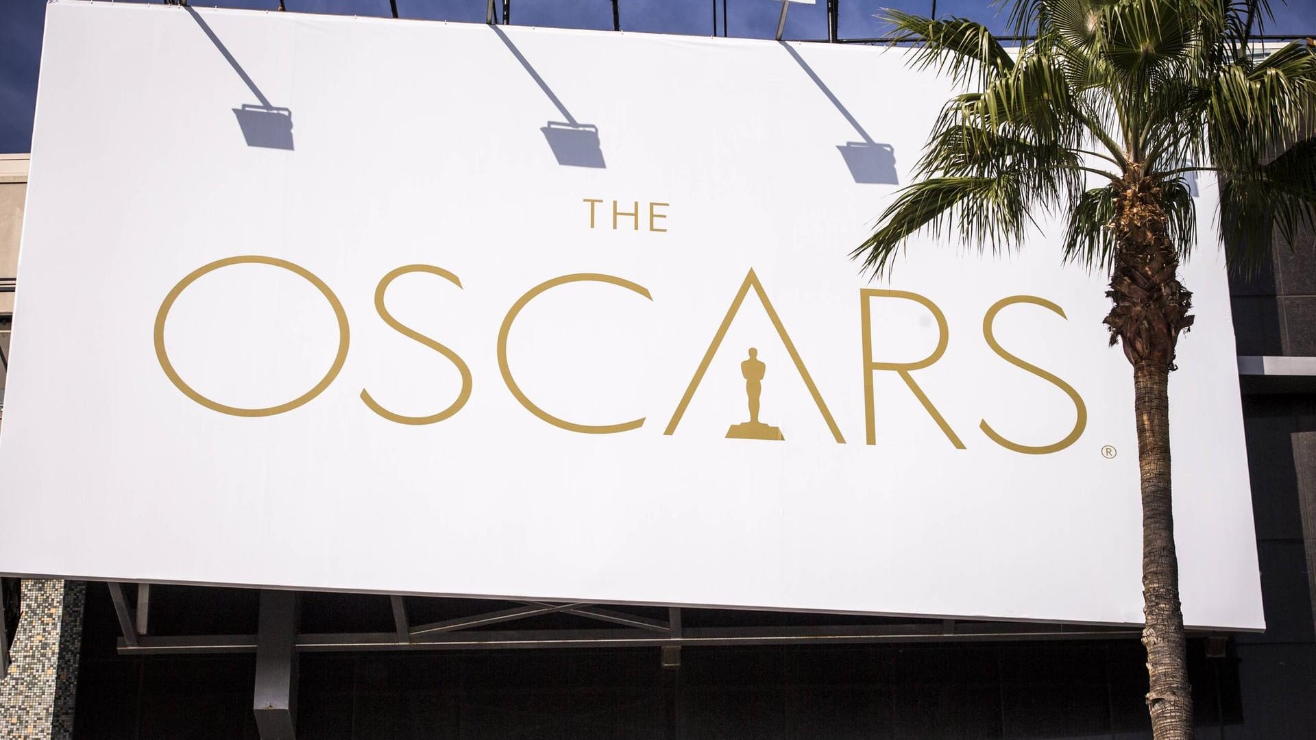 Die Oscars: Sie sind der wichtigste Film-Preis der Welt.