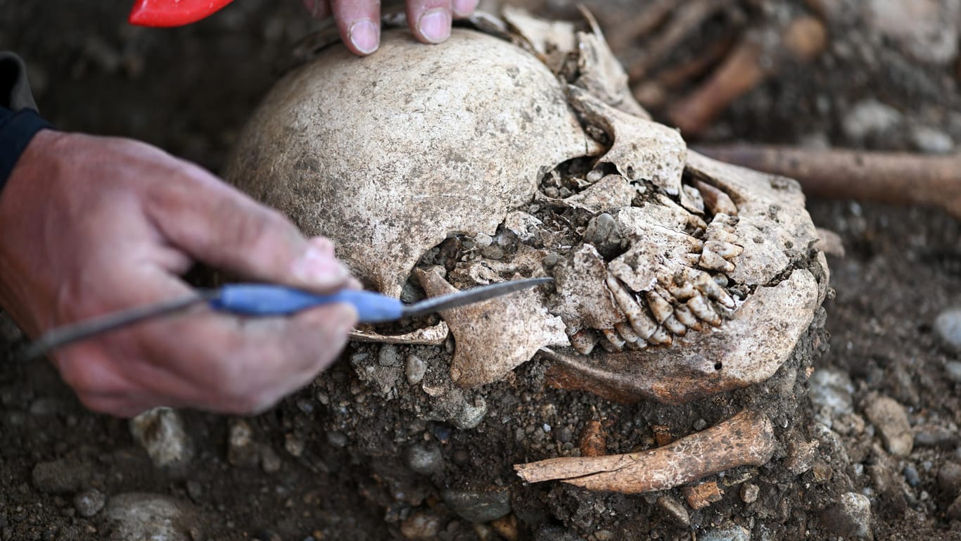Kreisarchäologe und Grabungsleiter Jürgen Hald gräbt Teile von Skeletten aus.