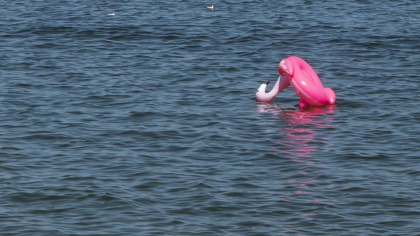 Blick auf einen aufblasbaren Flamingo: Ein solches Schwimmgerät nutzte ein Mann für die Rheinüberquerung.