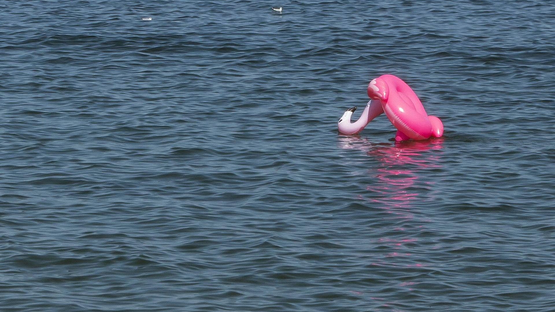 Blick auf einen aufblasbaren Flamingo: Ein solches Schwimmgerät nutzte ein Mann für die Rheinüberquerung. Blick auf einen aufblasbaren Flamingo: Ein solches Schwimmgerät nutzte ein Mann für die Rheinüberquerung.
