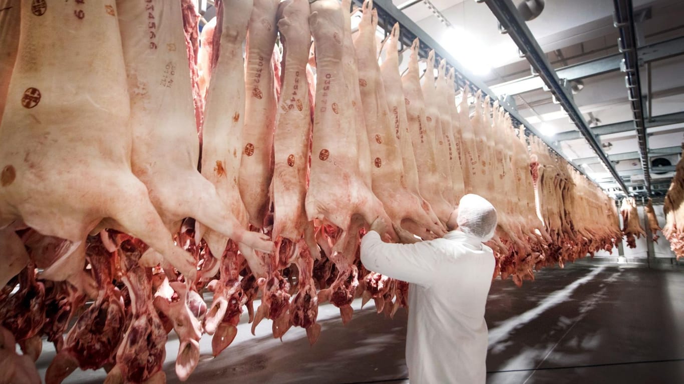 Geschlachtete Schweine in einem Kühlhaus des Fleischunternehmens Tönnies.