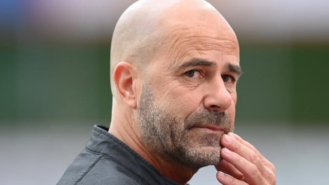 Bayer-Trainer Peter Bosz will mit seinen Leverkusenern in die Champions League einziehen. Bayer-Trainer Peter Bosz will mit seinen Leverkusenern in die Champions League einziehen.