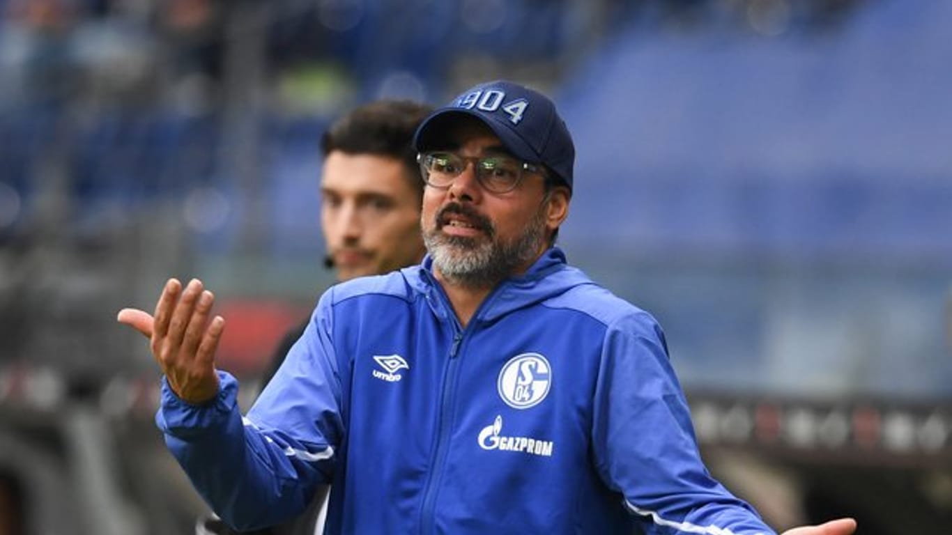 Schalkes Cheftrainer David Wagner will den Problemen auf den Grund gehen.