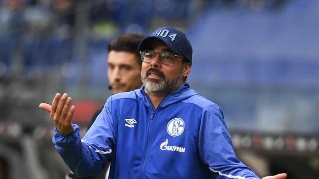 Schalkes Cheftrainer David Wagner will den Problemen auf den Grund gehen. Schalkes Cheftrainer David Wagner will den Problemen auf den Grund gehen.
