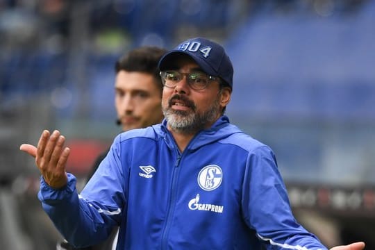 Schalkes Cheftrainer David Wagner will den Problemen auf den Grund gehen.