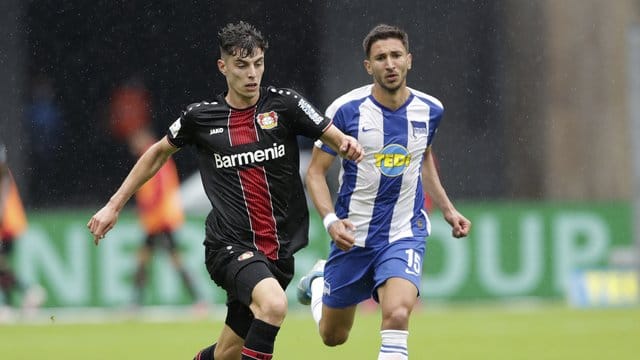 Leverkusens Kai Havertz (l) im Zweikampf mit Herthas Marko Grujic. Leverkusens Kai Havertz (l) im Zweikampf mit Herthas Marko Grujic.