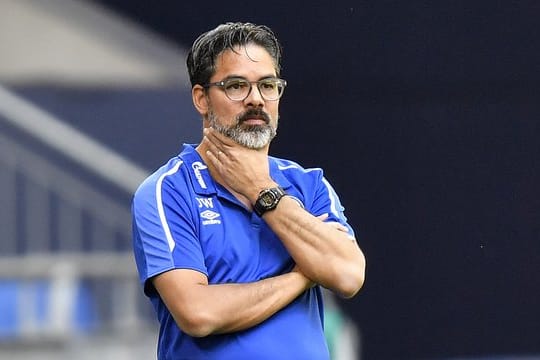Trainer David Wagner erlebt mit dem FC Schalke 04 bittere Wochen.