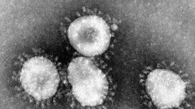 Coronavirus