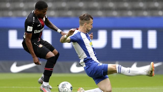 Peter Pekarik (r) wird Hertha im letzten Saisonspiel fehlen. Peter Pekarik (r) wird Hertha im letzten Saisonspiel fehlen.