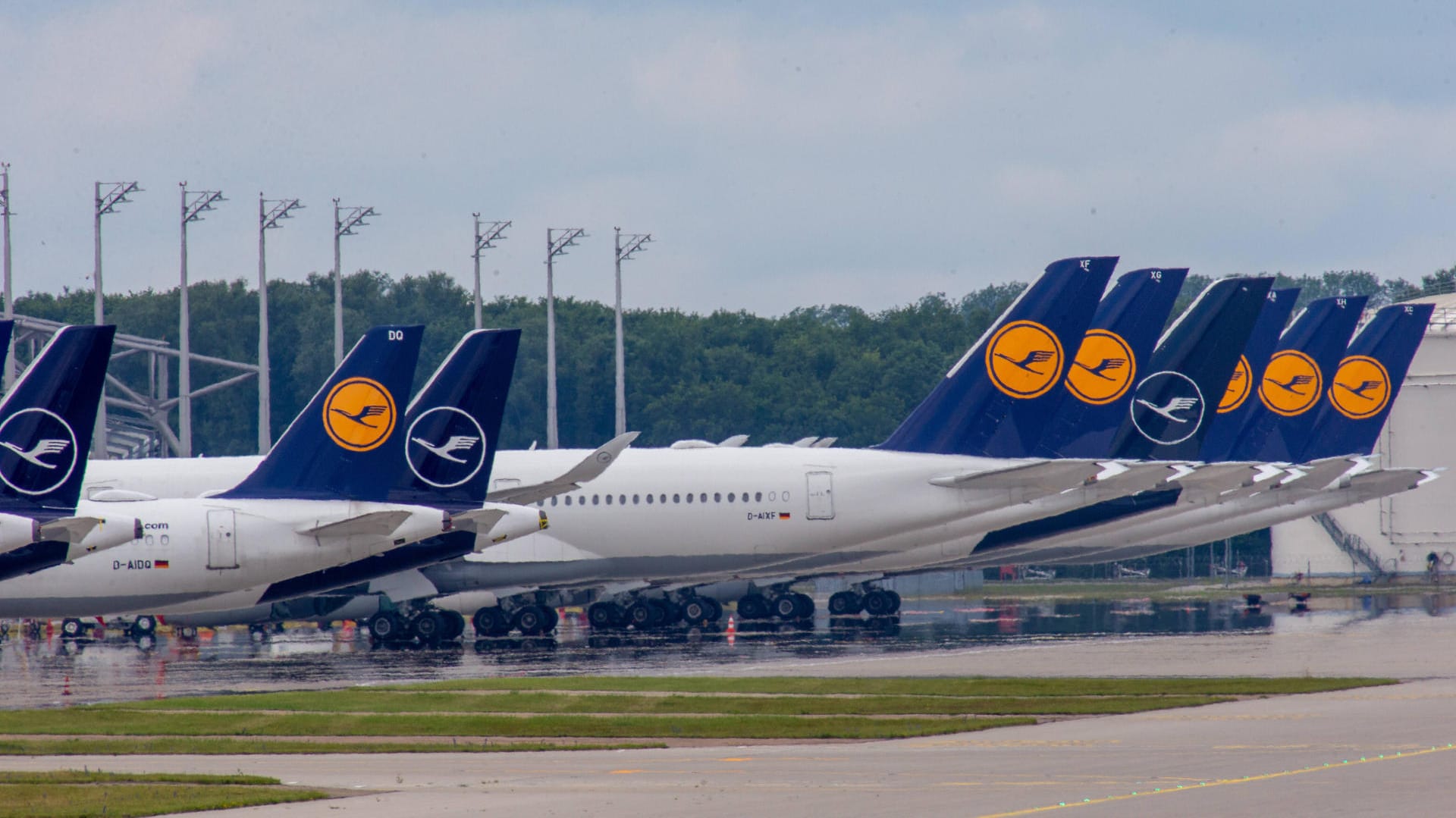 Flugzeuge der Lufthansa am Boden: Findet sich keine Mehrheit für die Rettungsmaßnahmen droht der Fluggesellschaft die Insolvenz. Flugzeuge der Lufthansa am Boden: Findet sich keine Mehrheit für die Rettungsmaßnahmen droht der Fluggesellschaft die Insolvenz.