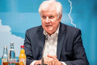 Horst Seehofer: Der Innenminister sprach von einem "unsäglichen Artikel" und will Strafanzeige gegen die Autorin stellen.