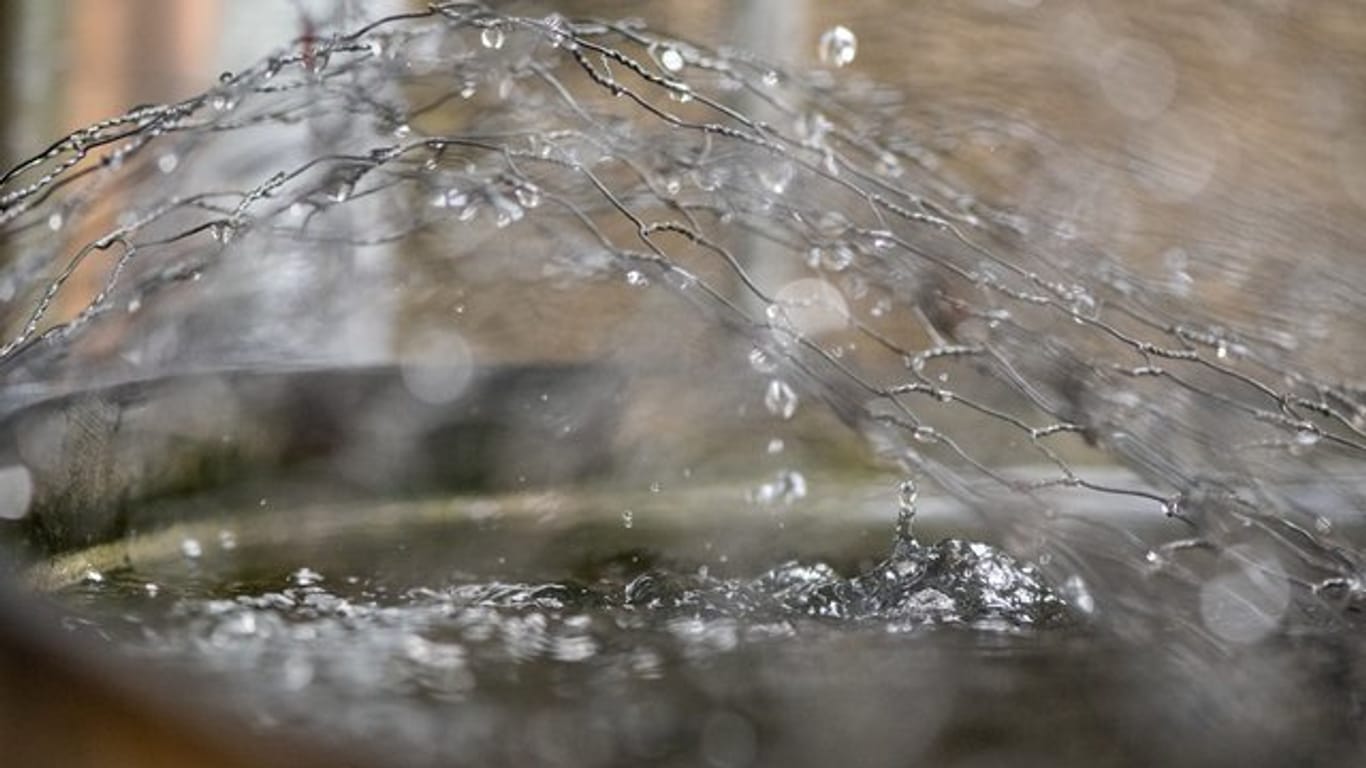 Wasserspender - und Gefahrenquelle: Gerade an heißen Tagen kann die Regentonne im Garten kleinen Tieren gefährlich werden.