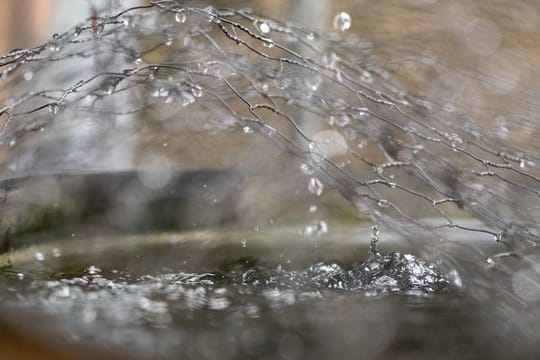 Wasserspender - und Gefahrenquelle: Gerade an heißen Tagen kann die Regentonne im Garten kleinen Tieren gefährlich werden.