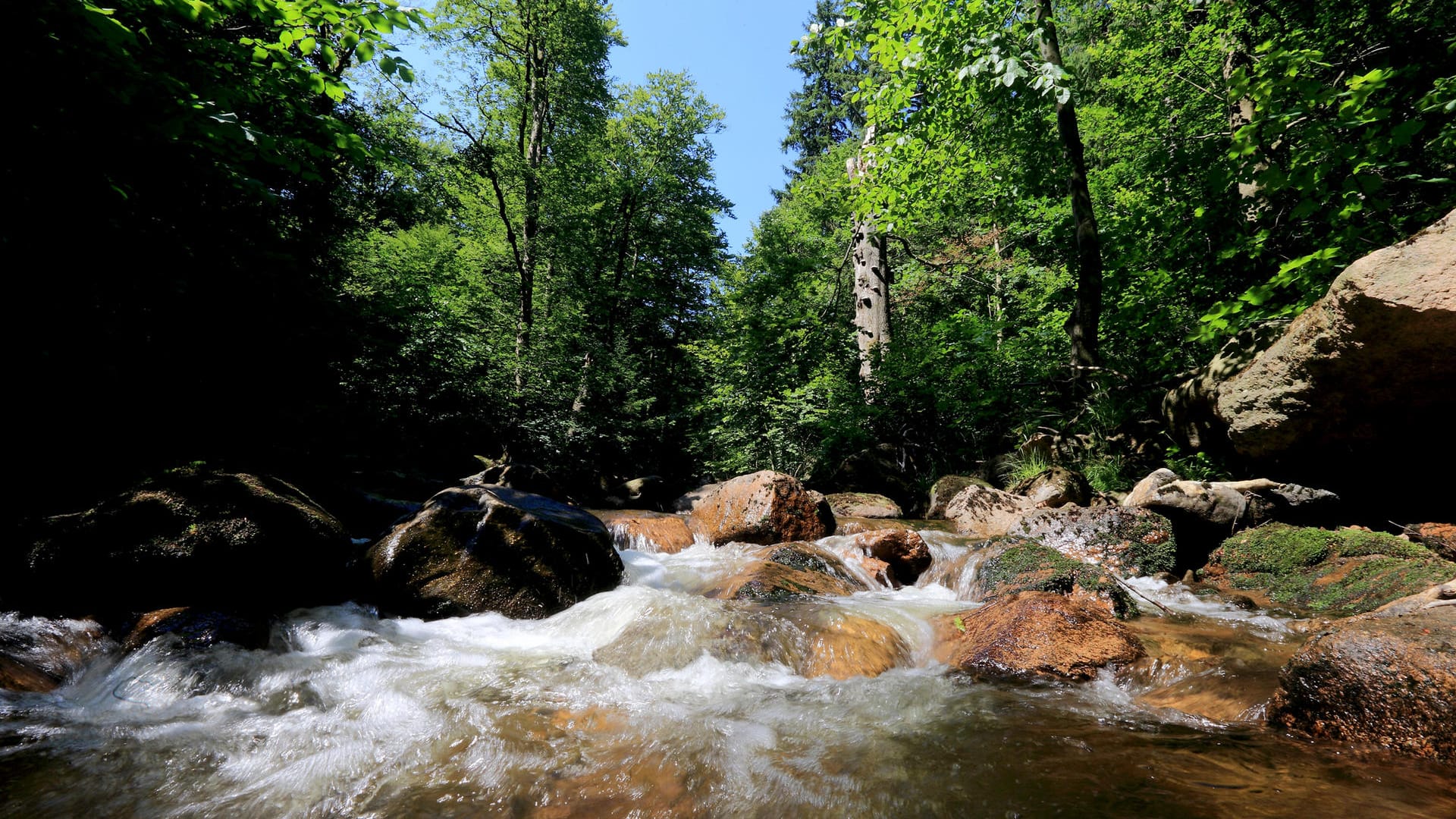 Ilsefälle im Nationalpark Harz: Hier endet der zwölf Kilometer lange Heinreich-Heine-Weg.