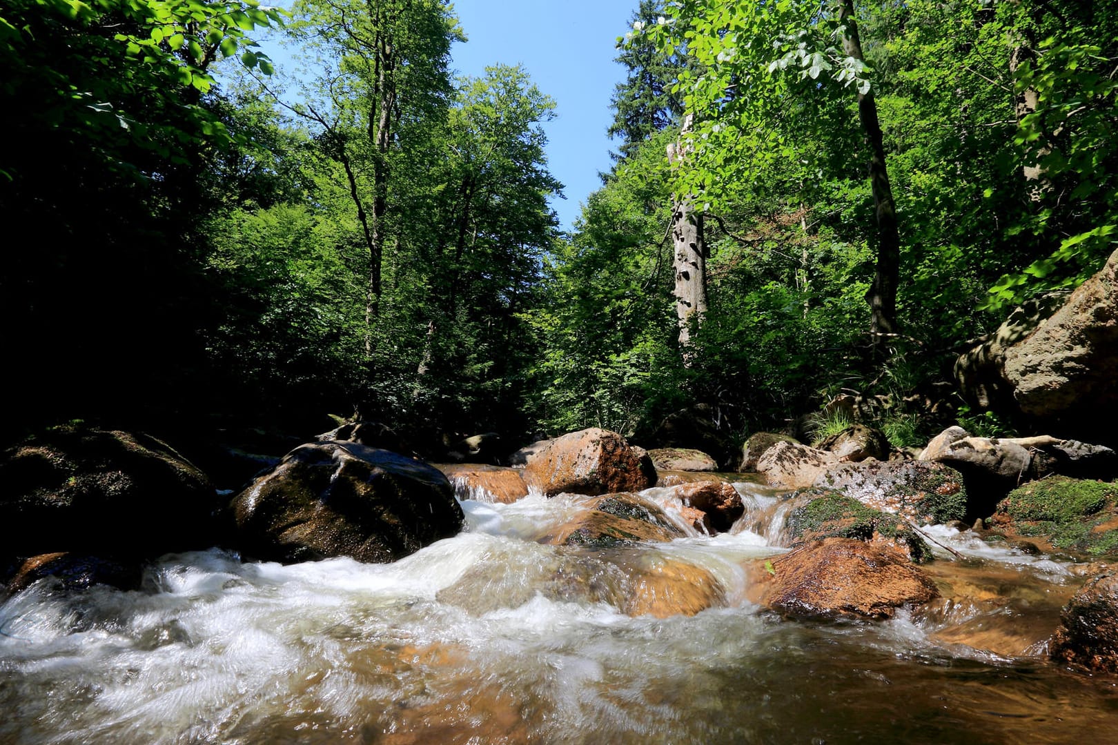 Ilsefälle im Nationalpark Harz: Hier endet der zwölf Kilometer lange Heinreich-Heine-Weg.