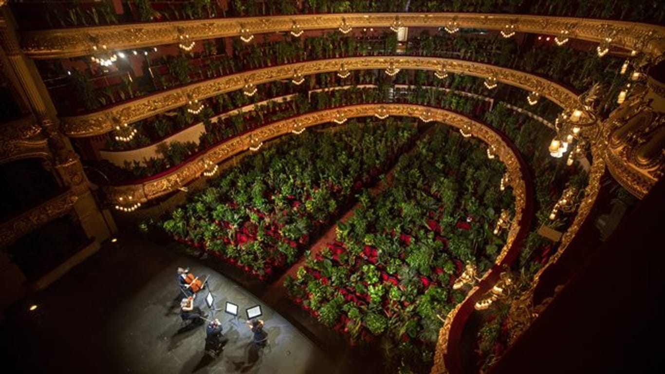 Musiker proben im Gran Teatre del Liceu in Barcelona, wobei alle 2 292 Sitzplätze mit Pflanzen besetzt sind.