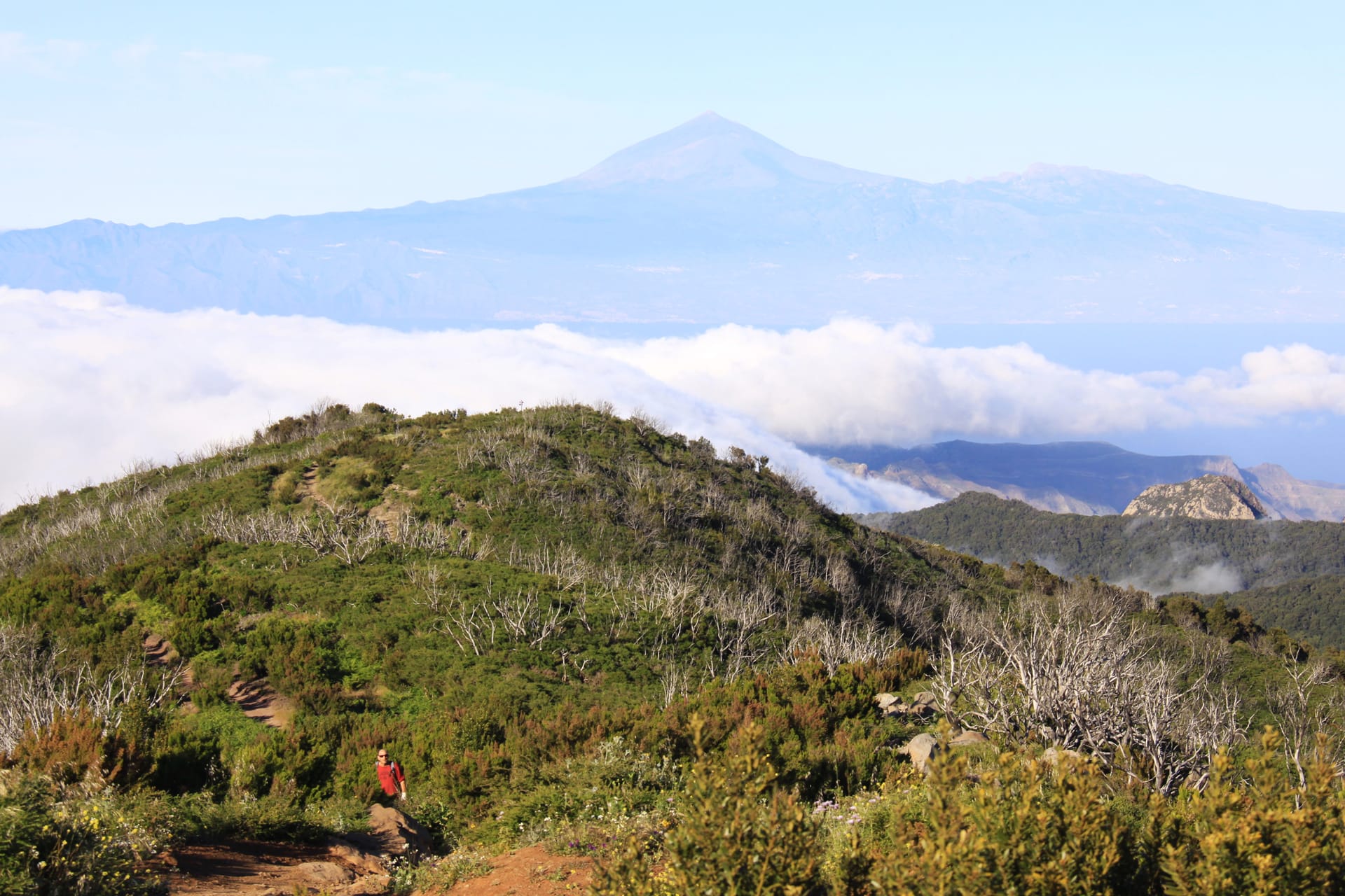 Insel für Wanderer: La Gomeras höchster Gipfel ist der Alto de Garajonay.
