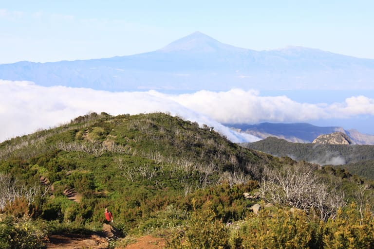 Insel für Wanderer: La Gomeras höchster Gipfel ist der Alto de Garajonay.