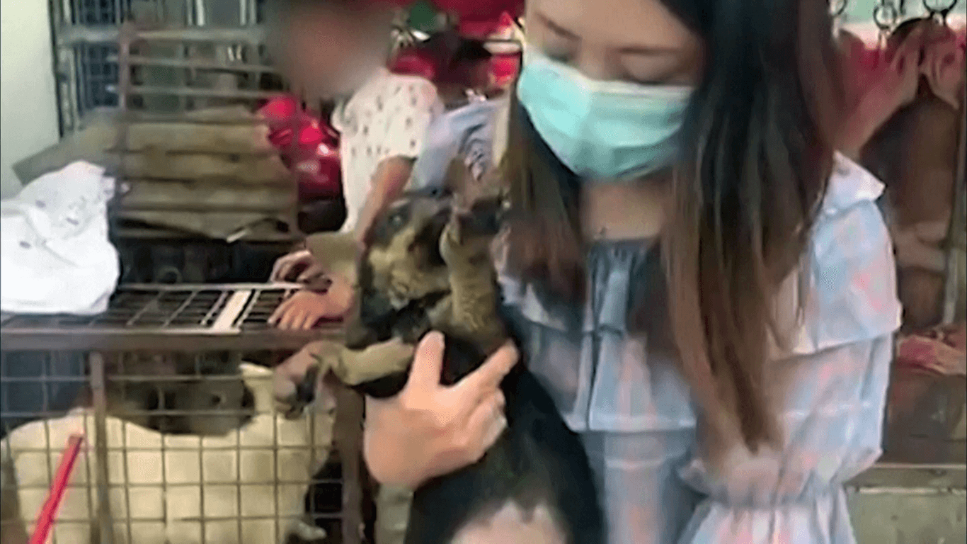 Umstrittene Hundefleischmesse in China eröffnet