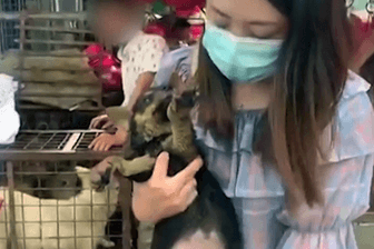 Umstrittene Hundefleischmesse in China eröffnet
