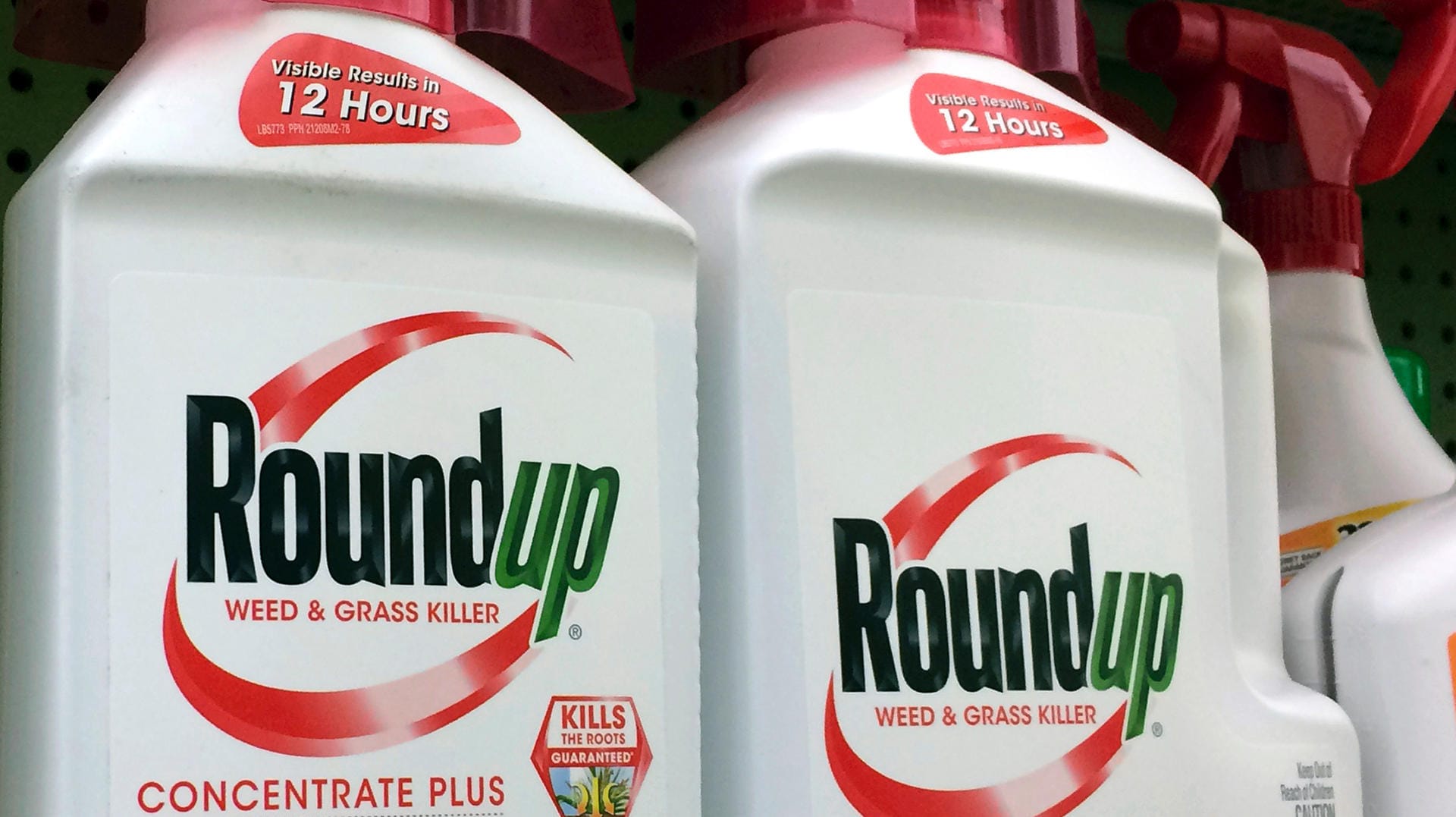 Behälter mit dem glyphosathaltigem Roundup: Das Unkrautvernichtungsmittel steht im Verdacht, krebserregend zu sein. Behälter mit dem glyphosathaltigem Roundup: Das Unkrautvernichtungsmittel steht im Verdacht, krebserregend zu sein.