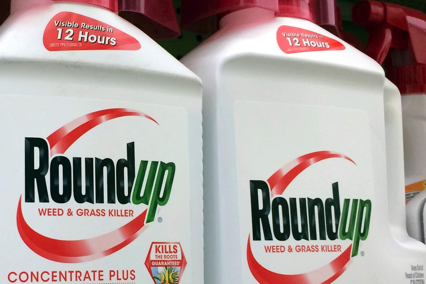 Behälter mit dem glyphosathaltigem Roundup: Das Unkrautvernichtungsmittel steht im Verdacht, krebserregend zu sein.