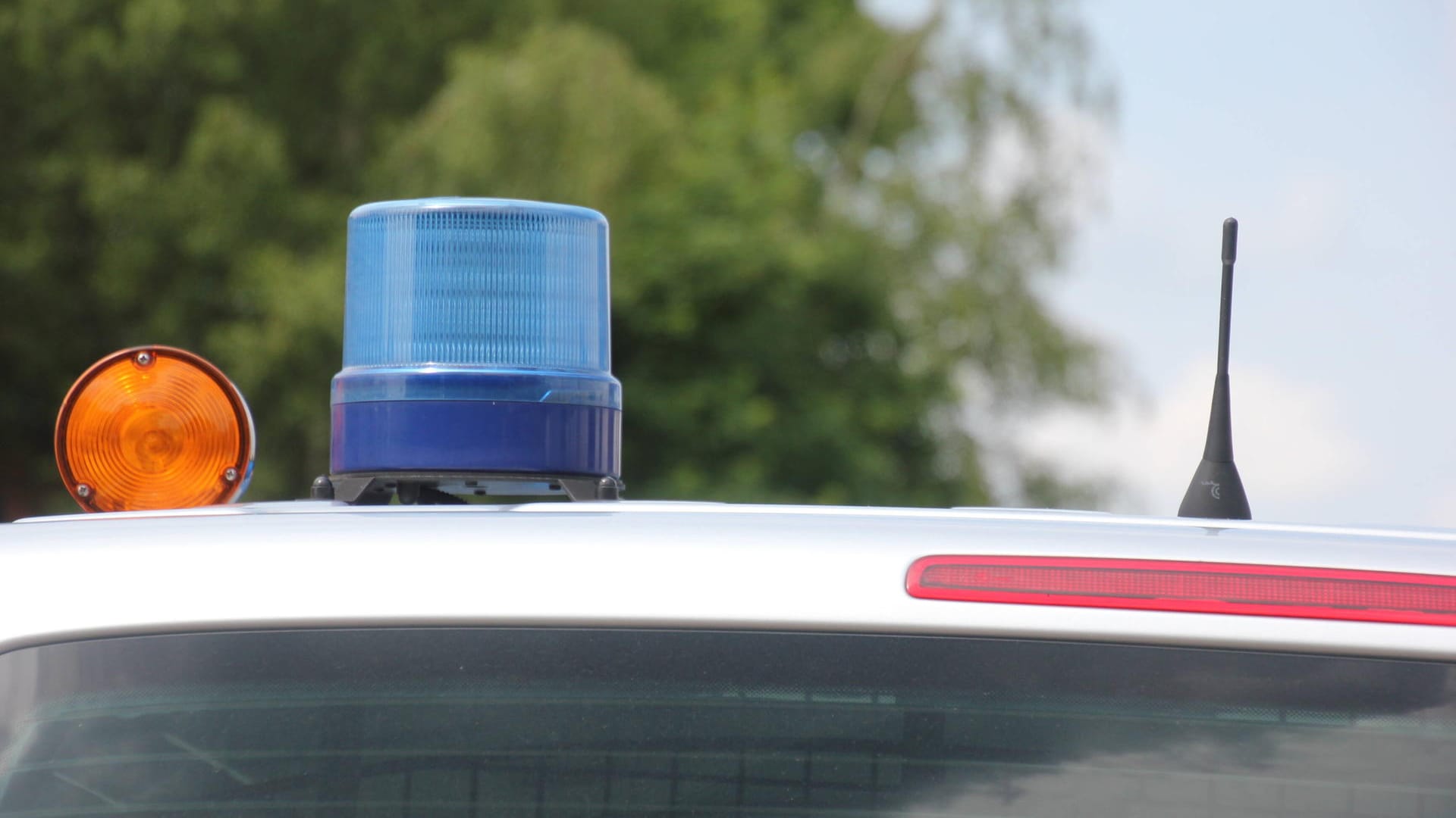 Ein Blaulicht an einem Einsatzfahrzeug: In Hamburg sind Beamte auf eine Leiche gestoßen. Ein Blaulicht an einem Einsatzfahrzeug: In Hamburg sind Beamte auf eine Leiche gestoßen.