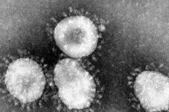 Coronavirus