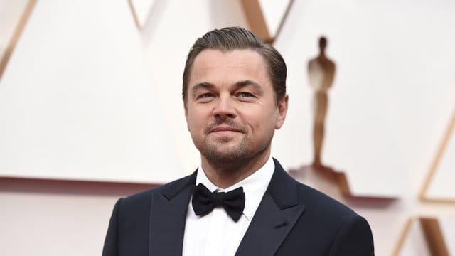 Schauspieler Leonardo DiCaprio plant einen Spielfilm über bedrohte Gorillas. Schauspieler Leonardo DiCaprio plant einen Spielfilm über bedrohte Gorillas.