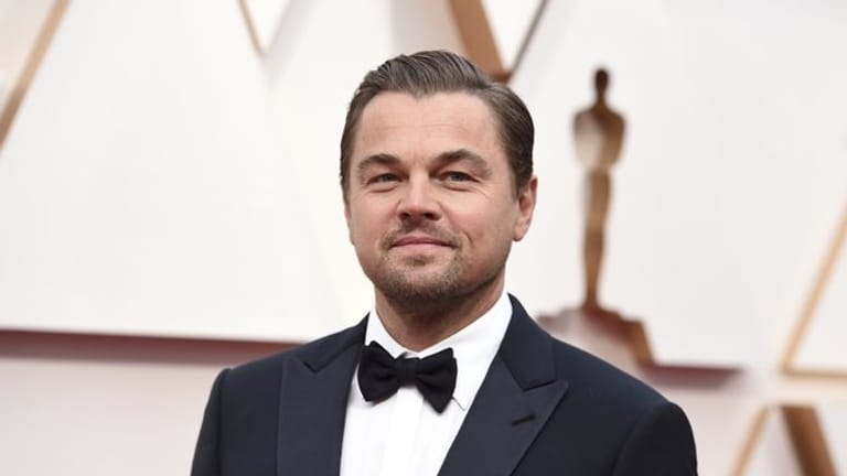 Schauspieler Leonardo DiCaprio plant einen Spielfilm über bedrohte Gorillas.