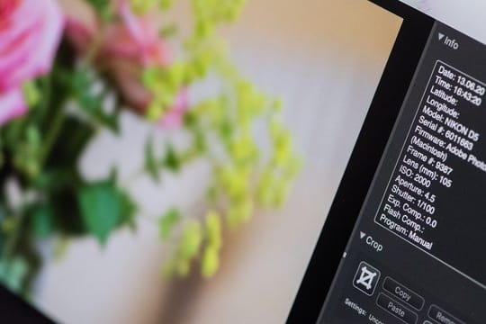 Metadaten eines Fotos: In die EXIF-Daten schreiben Kameras alle möglichen Informationen über die Umstände der Aufnahme.