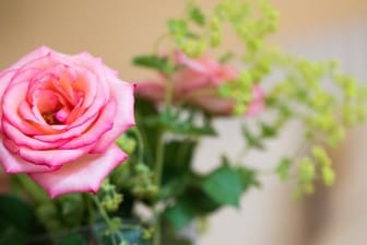 Blumenstrauß aus dem eigenen Garten: Für Anfänger sind robuste Sorten wie Hortensien und Rosen geeignet.